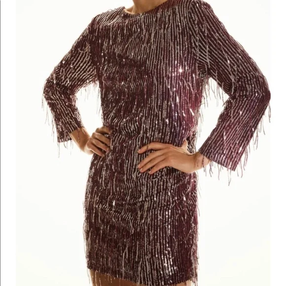 NWT Zara Fringe Sequin Mini Dress, Burgundy - Picture 3 of 5